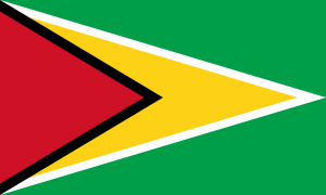 bandiera guyana