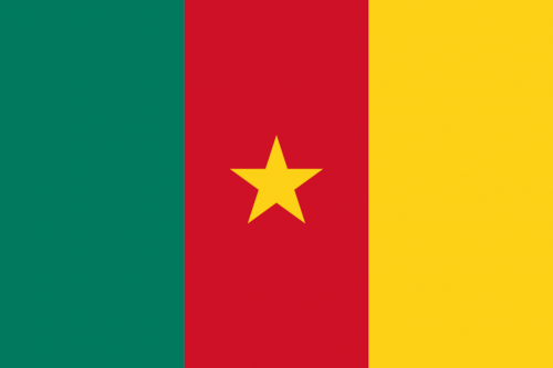 Flag of Camerun