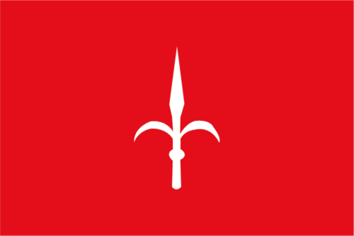 Bandiera comune di Trieste