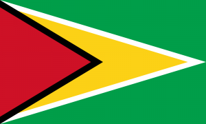 Bandiera Guyana