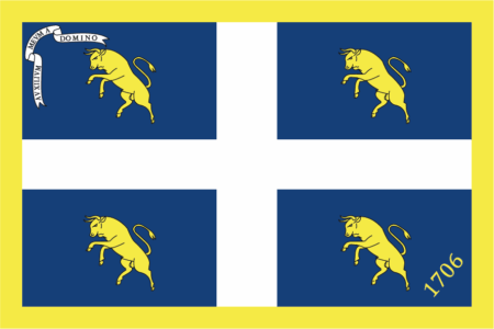 Flag of Municipality of Torino