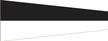 Pennello Numero 6 - soxisix