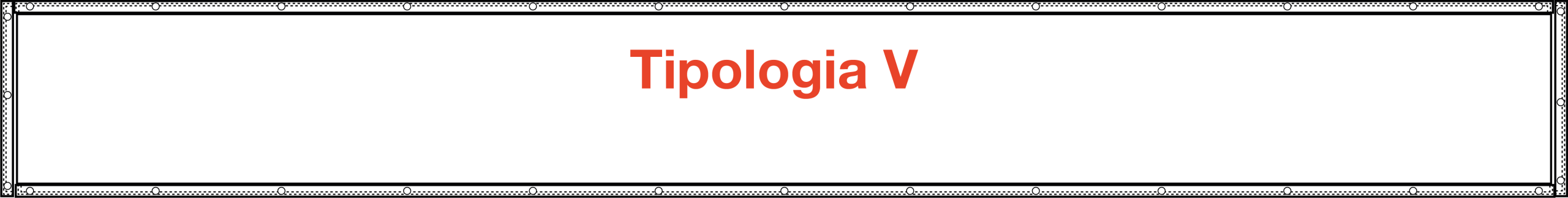 Tipologia V
