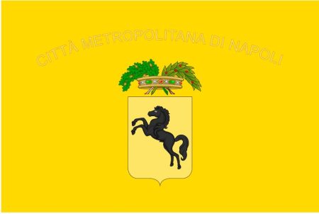 Bandiera Città Metropolitana di Napoli